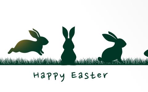 Hasen Frohe Ostern